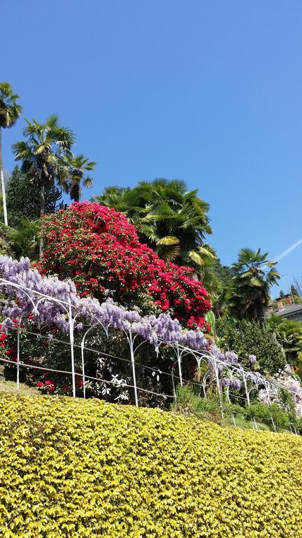 Appartamenti Orta Orta San Giulio Rum bild