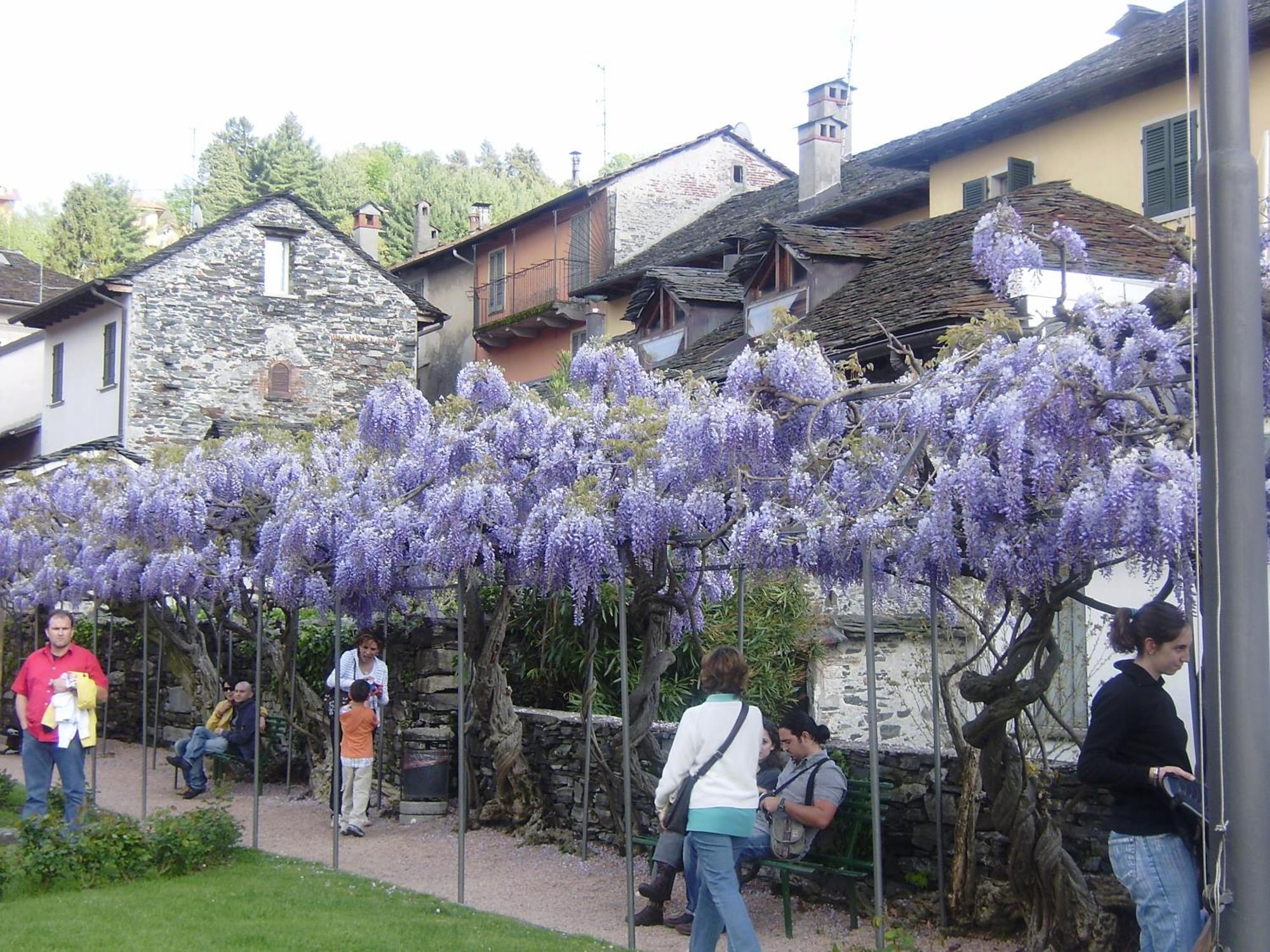 Appartamenti Orta Orta San Giulio Exteriör bild